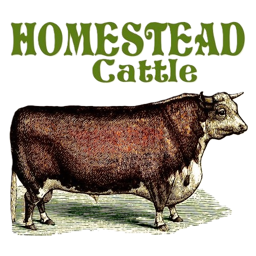 homestead-logo-transparent-square-500